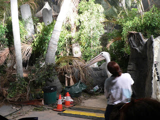 When Hollywood Comes Knocking – Part 3: Green Light!